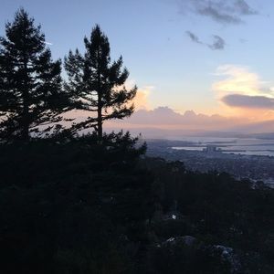 Meet your Posher, Therese